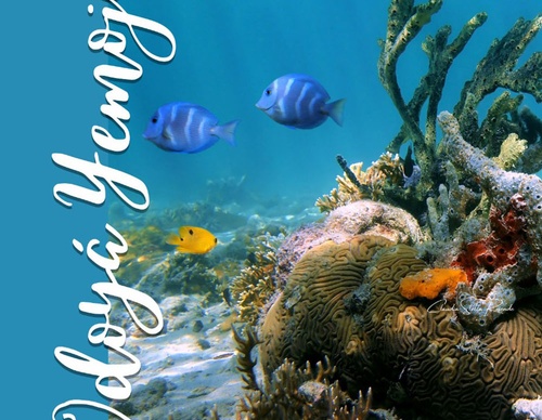 claudia stella resende