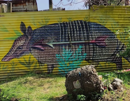 Galería de arte callejero de Nashi Bime - México