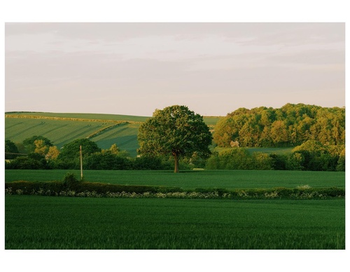 Gallery Of Photography By Daniel Casson - England
