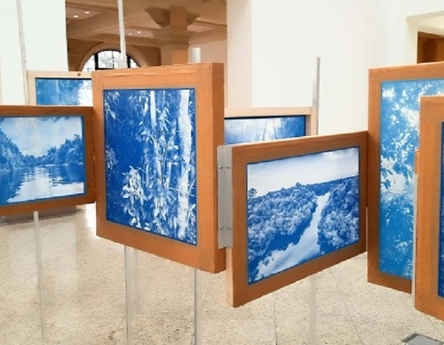 Exposición La Selva Azul en São Paulo