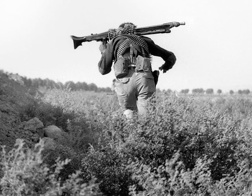 bahram mohammadifard