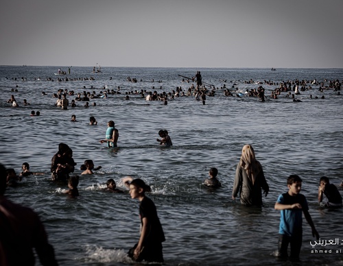 Galeria de Fotografia de Ahmed Al Arini - Palestina