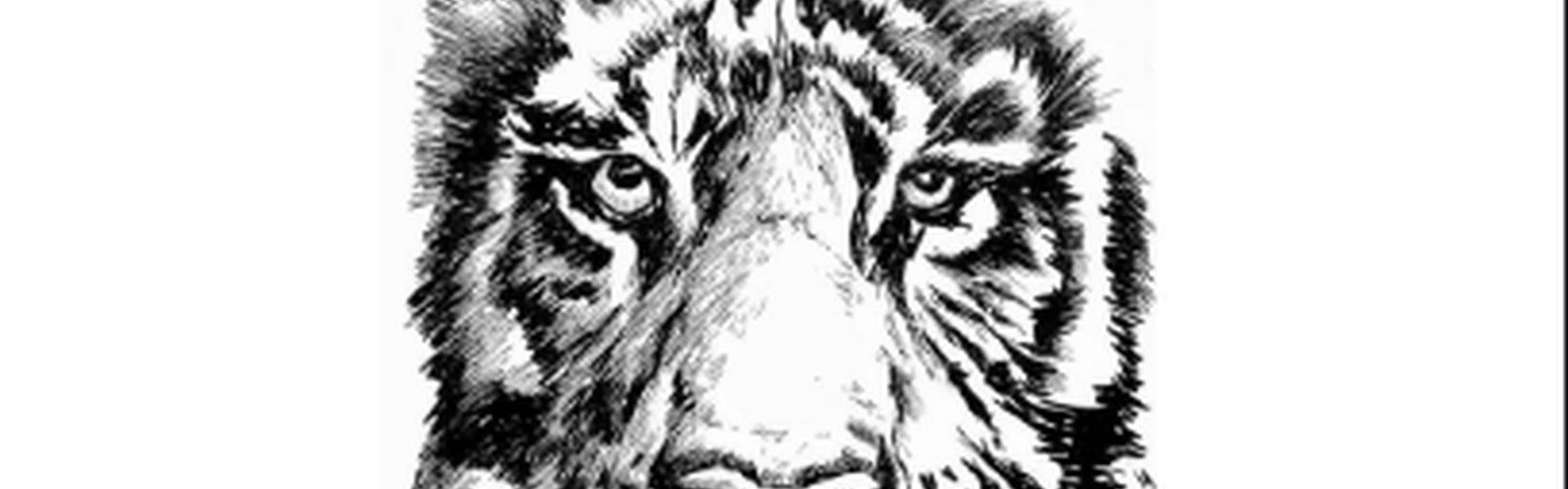 ¡Prepárate para dibujar!: ¡Se revelan los secretos del dibujo a pluma y tinta! (Dibujo a pluma, tinta y acuarela) por Shirish Deshpande