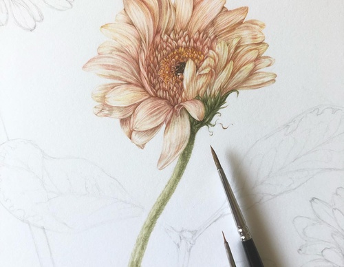 Gallery of Drawing by GiacoMina Ferrillo-Italy
