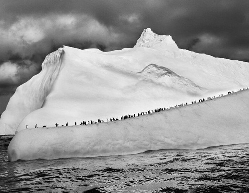 Galeria de Fotografia de Sebastião Salgado-Brasil