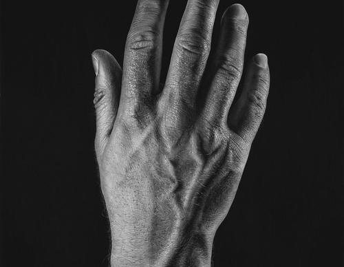Gallery Of Realistic Painting By Emma Towers Evans - Brazil