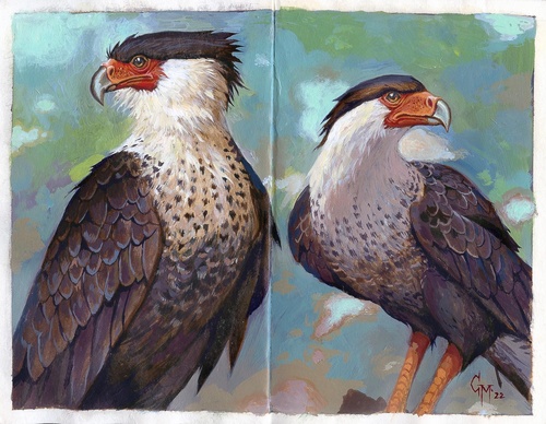 Gallery Of Illustration By Caio Monteiro - Brazil