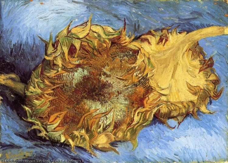 A Arte Moderna: Ruptura, Experimentação e Novas Visões do Mundo