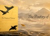 La poesía de la naturaleza