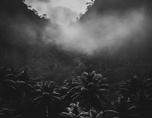 Gallery Of Photography By Christian Hartmann - Germany