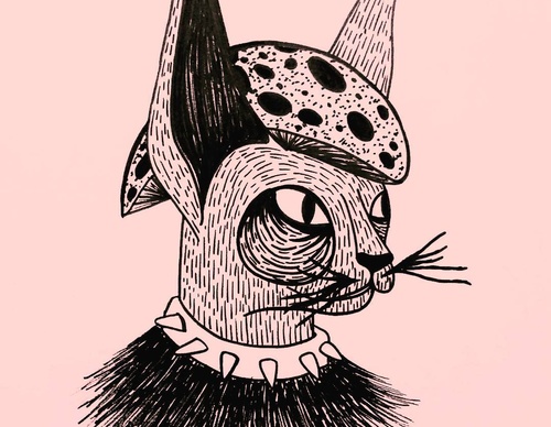 steve aparicio