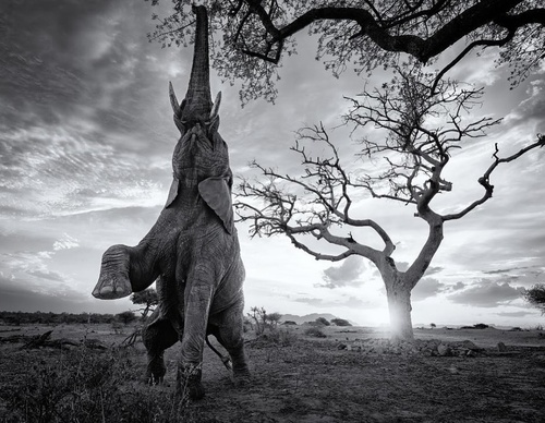 Gallery Of Photography By Keith Ladzinski - Brazil