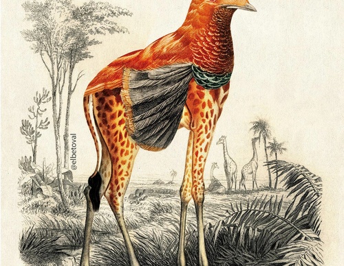 Galería De Ilustración De Beto Val - Ecuador