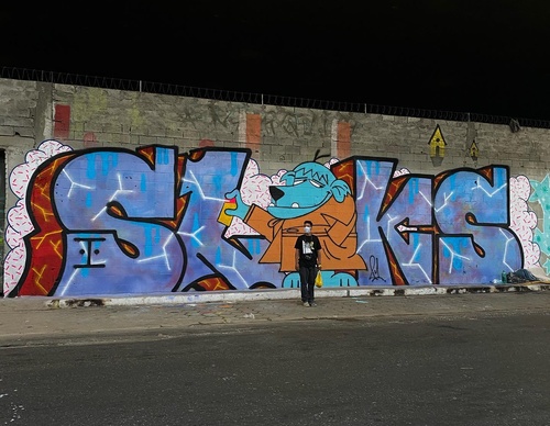 Gallery Of Street Art By Rafael Sliks - Brazil