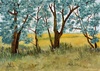 Galeria de Pinturas de Nélida Richard Delese - Argentina