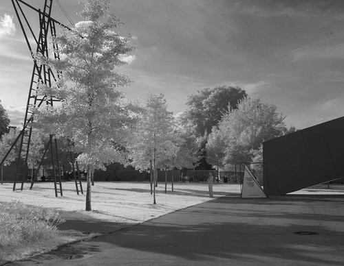 Gallery Of Photography By Federico Fortini - Argentina