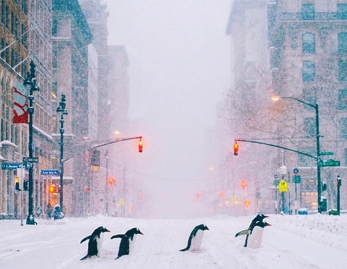 Gallery Of Photography By Robert Jahns - Germany