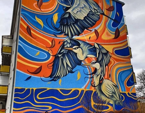 Gallery Of Street Art By Fio Silva - Argentina