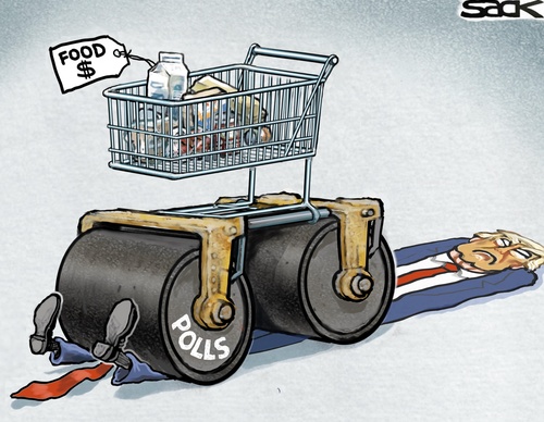 steve sack