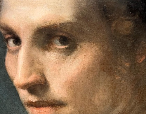 andrea del sarto