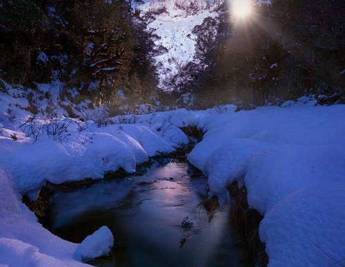 Galeria de fotografias de William Patino - Nova Zelândia