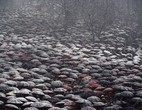 bruno barbey