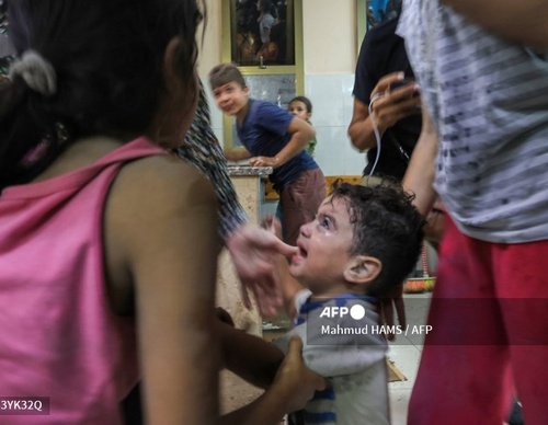 Galería de fotografías de Mahmud Hams - Palestina