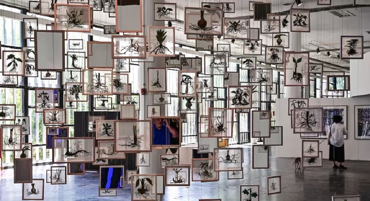 “Challenging the impossible”: the motto of the São Paulo Biennial for the next three months