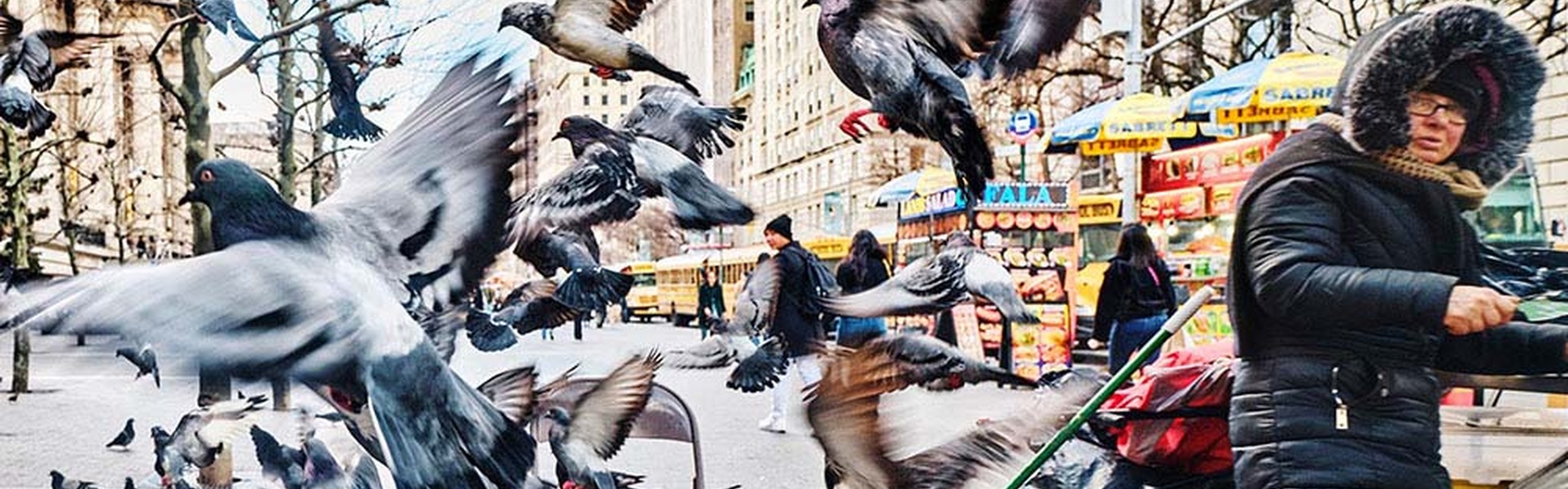 Gallery of Creative Photography by Michael Prince - USA