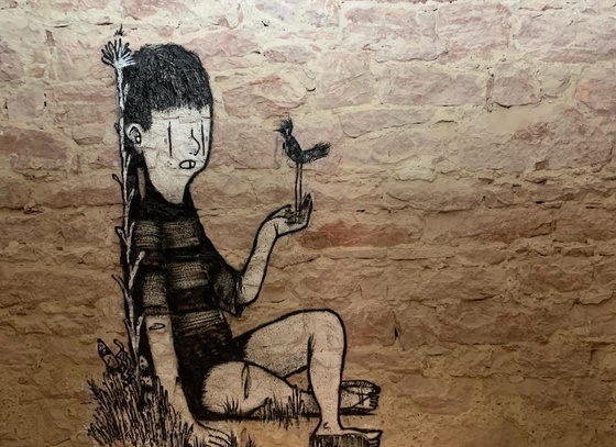 alex senna