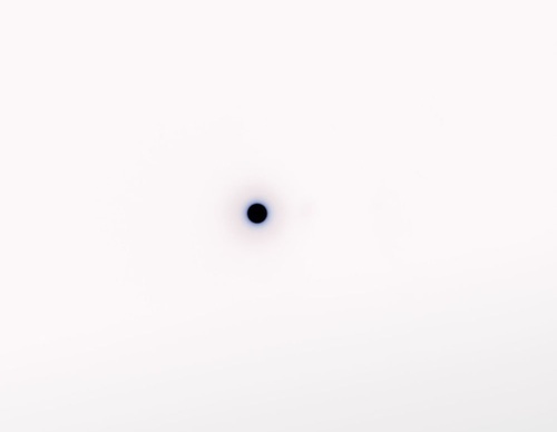 gregory halpern