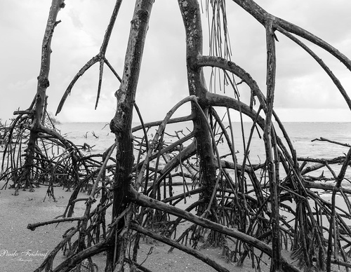 Gallery Of Photography By Norberto Kreutzer Fruhauf - Brazil