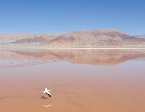 Galería de fotografía de Sebastián López Brach - Argentina