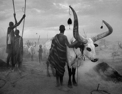 Galeria de Fotografia de Sebastião Salgado-Brasil