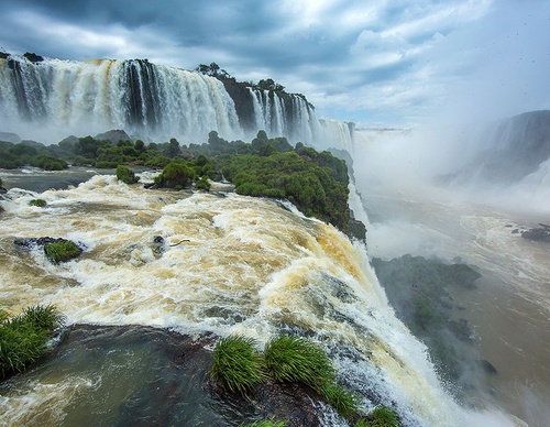 brazil jim zuckerman