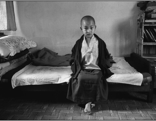 martine franck
