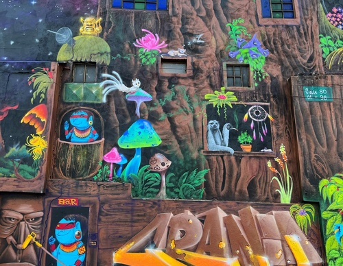 Gallery Of Street Art By Cranio - Brazil