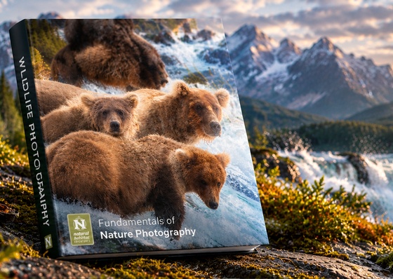 FUNDAMENTALS OF NATURE PHOTOGRAPHY