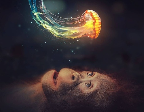 Gallery Of Illustration By Jose Francese - Argentina