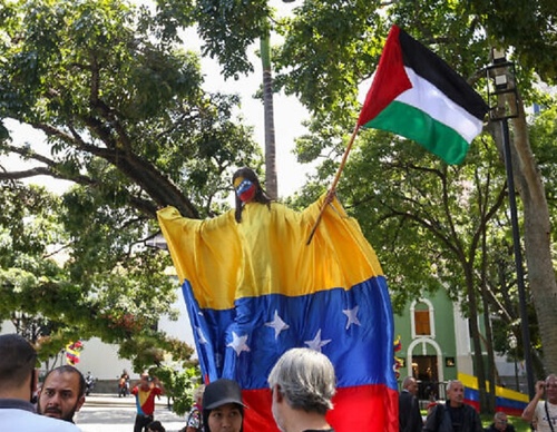 Fotos de José Luis Díaz da marcha do povo de Caracas em apoio à Palestina