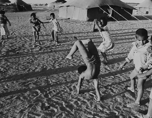 Gallery of  Photography by Pedro Meyer-Mexico