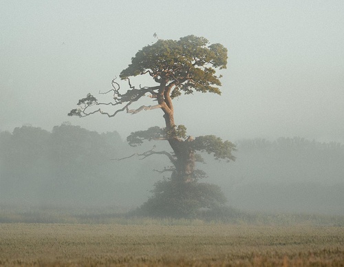 Galeria de Fotografia de Gareth Llewellyn - País de Gales
