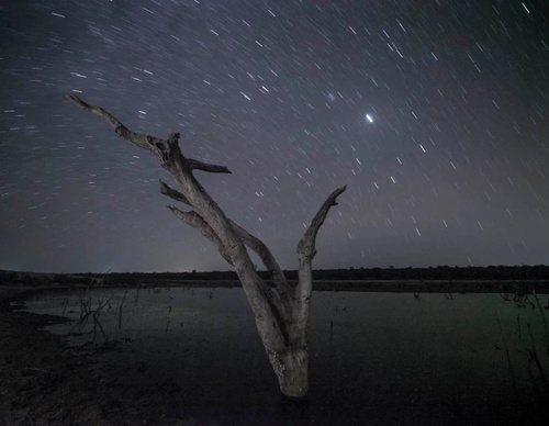 Gallery of photography by Gustavo Bettini-Brazil