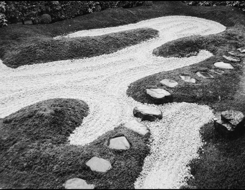 martine franck