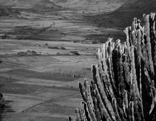 raymond depardon