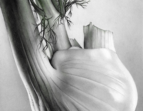cath riley