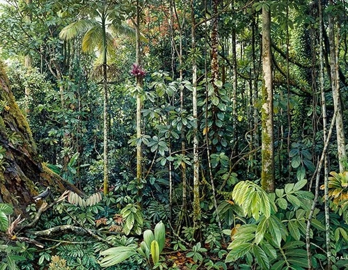 Gallery Of Painting By Maurício Barbato-Brazil