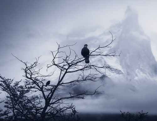 Gallery Of Photography By Rodrigo Viveros - Chile