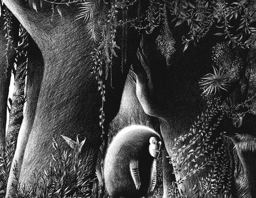 Gallery of illustration by Rogerio Coelho-Brazil