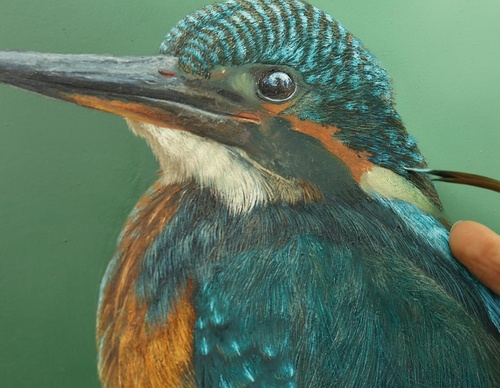 Galería de pintura realista de Annie Drew - Reino Unido